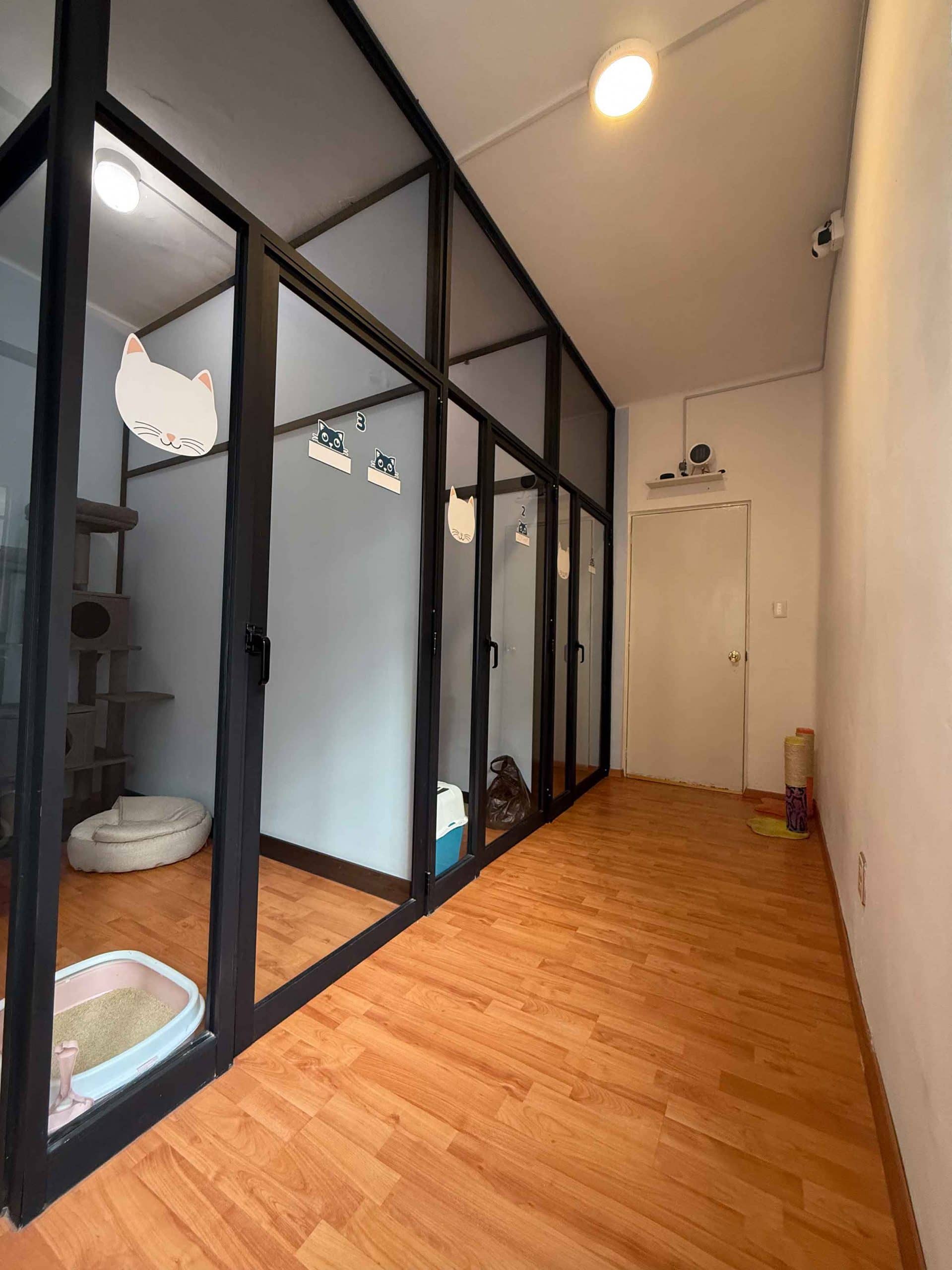 Espacios interiores de hotel felino diseñados para bienestar. Pensión para gatos en CDMX.