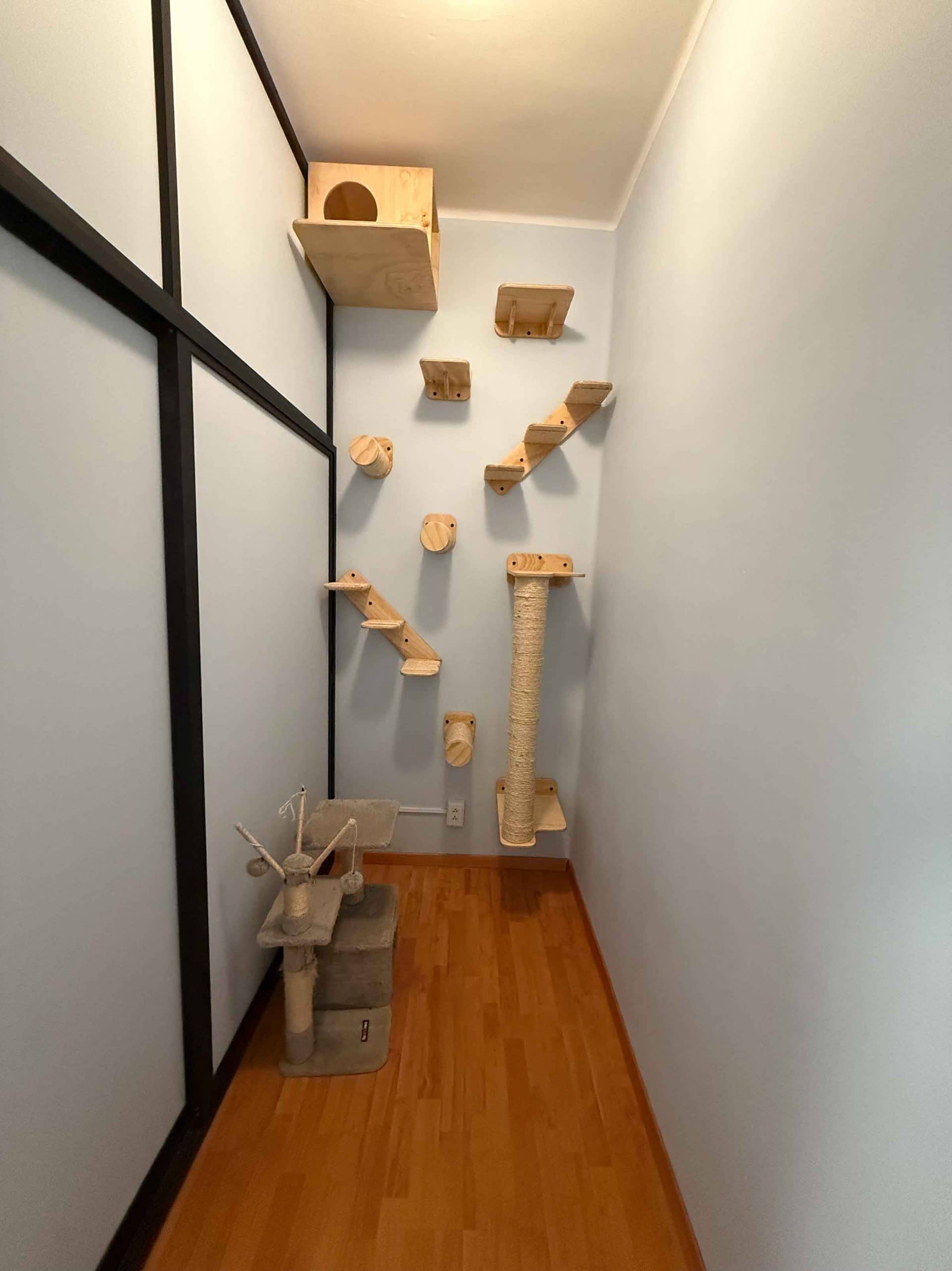 Instalaciones modernas de hotel para gatitos con atención personalizada. Polanco, CDMX.