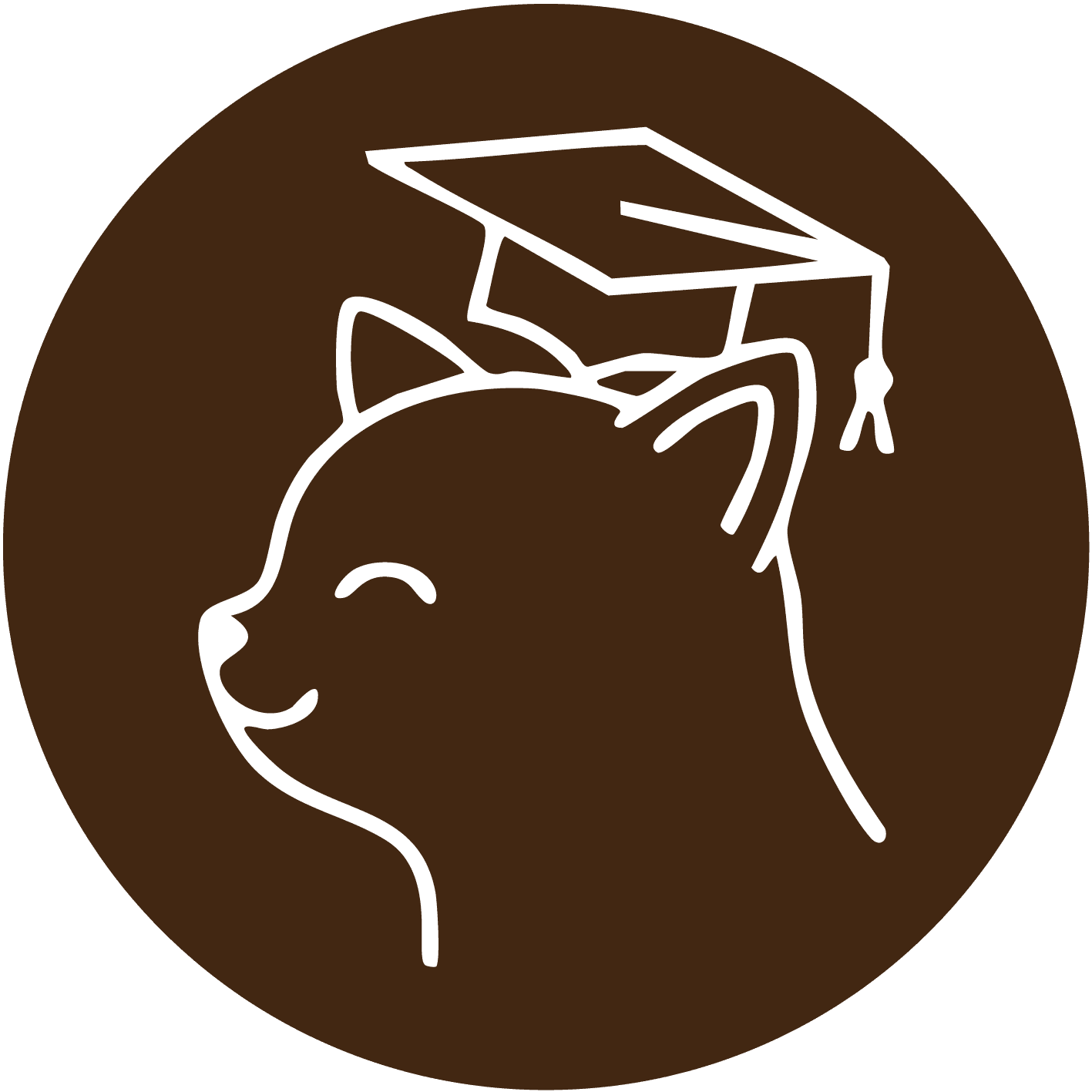 Expertos en comportamiento felino en CDMX