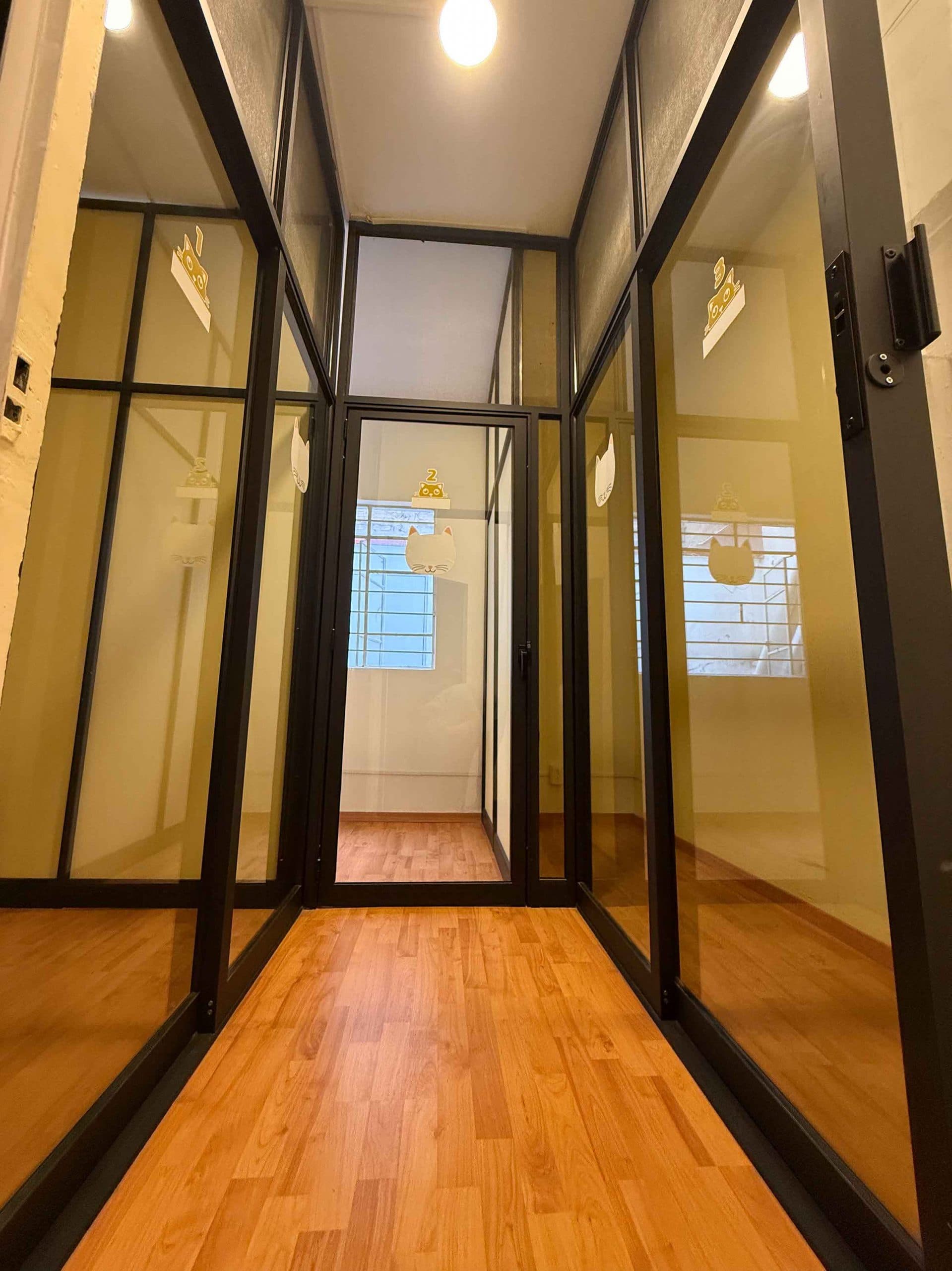 Instalaciones del hotel de lujo para gatitos con suites privadas. Alternativa premium.