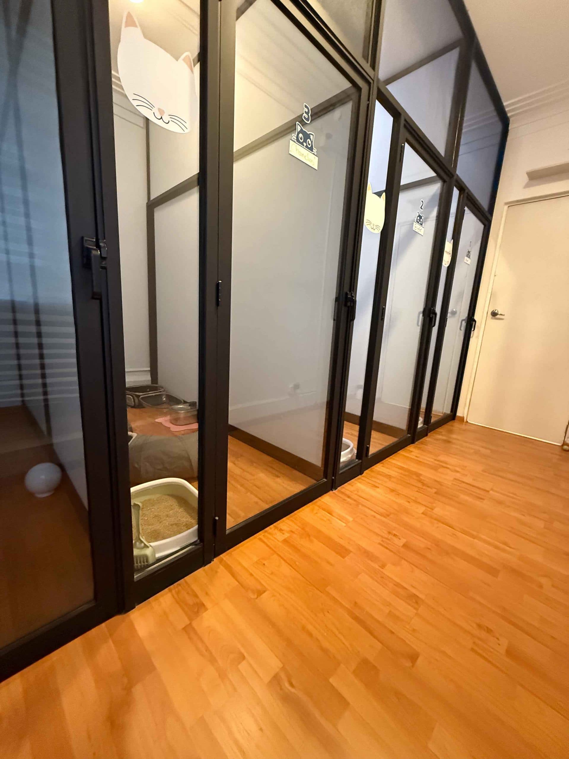 Instalaciones premium de hotel para gatos en Polanco, CDMX. Guardería felina de alta calidad.