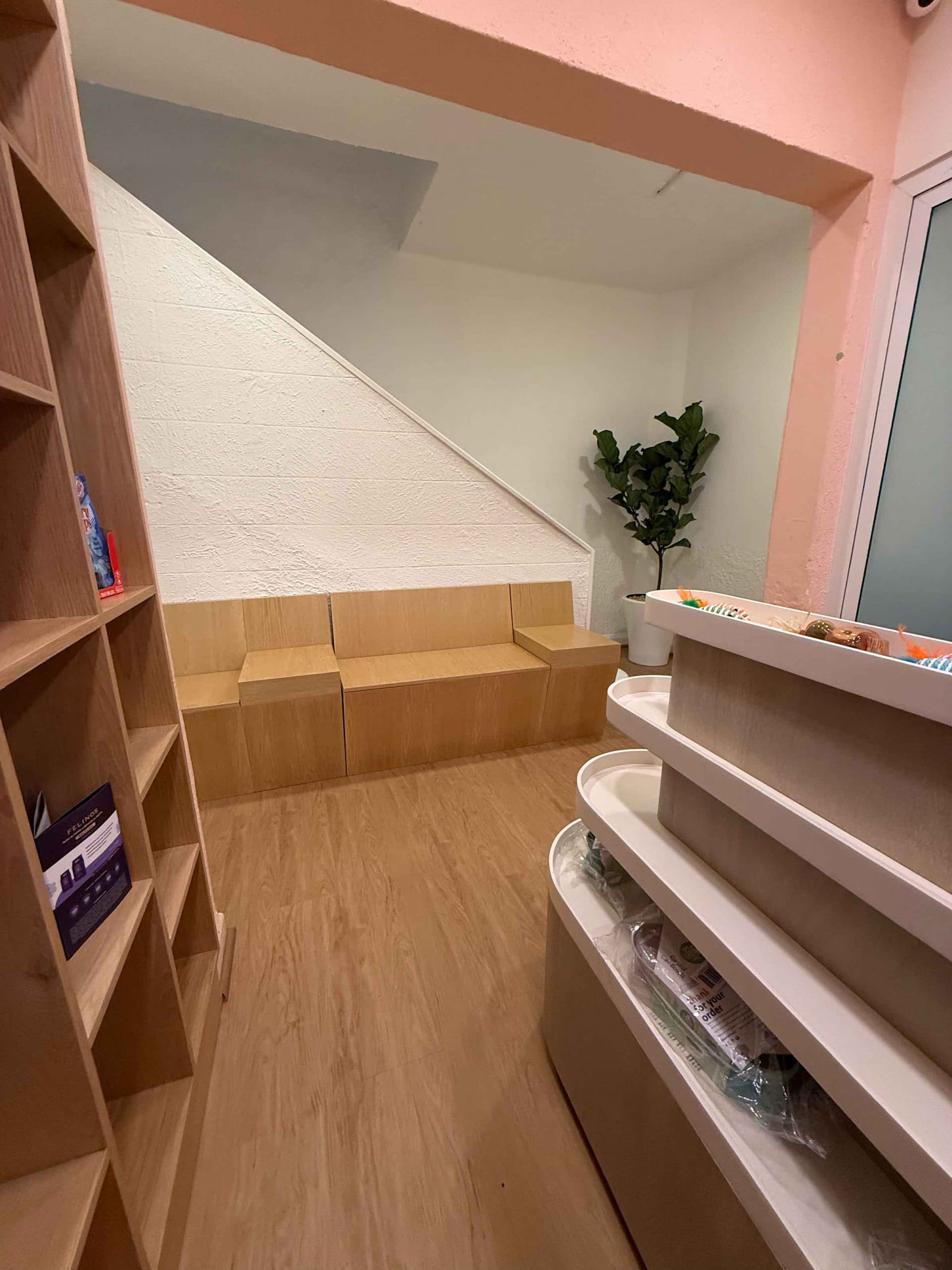 Instalaciones de hotel felino con espacios diseñados para bienestar. Más que una guardería para gatos.