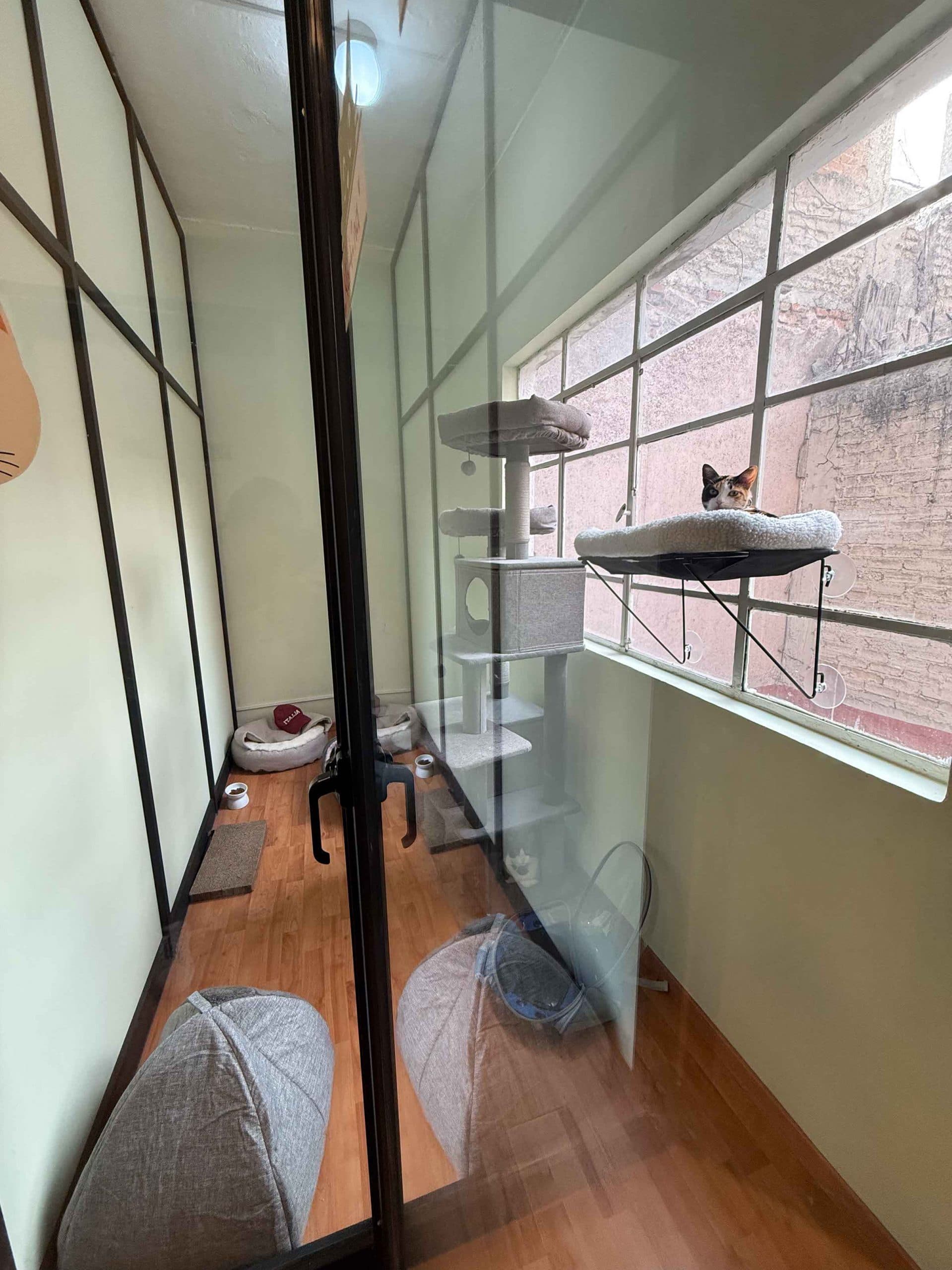 Suite privada con comodidades premium en guardería para gatos. Garabatos Inc, CDMX.